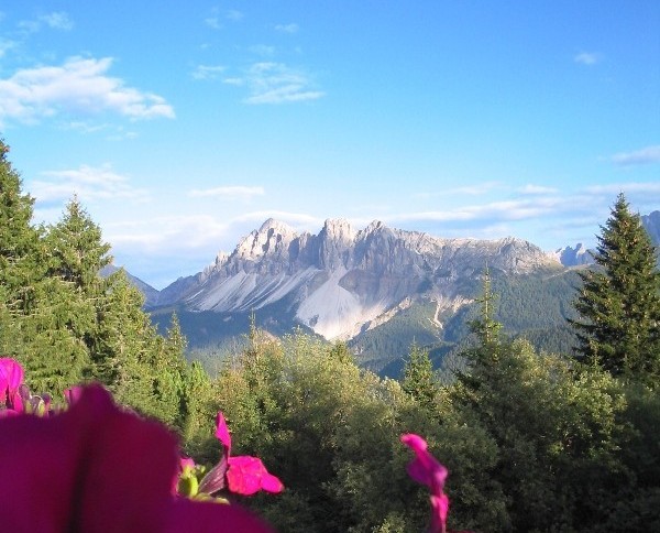 Copia di 102_0264.JPG