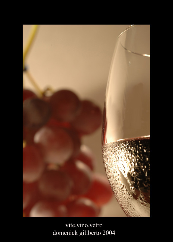 Copia di 4vite,vino,vetro copia02JPEG of.JPG