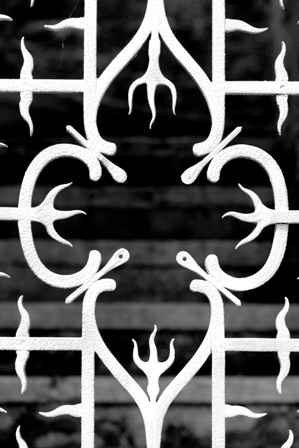 Copia di CRW_0249 copia.jpg
