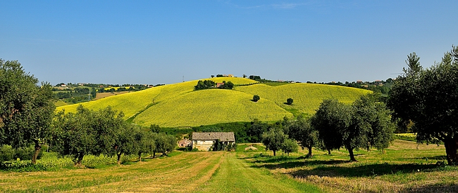 Copia di DSC_0339.JPG