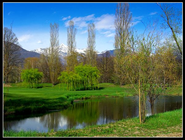 Copia di il parco3.jpg