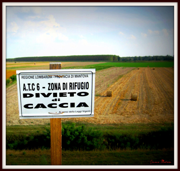 Copia di IMG_3847.JPG