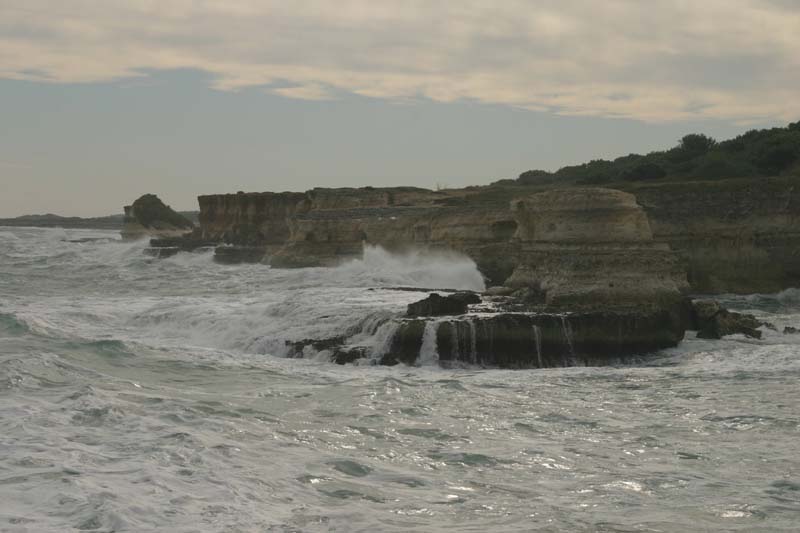 Copia di IMG_5224.jpg