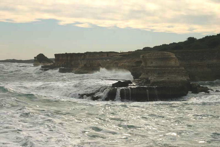 copia_di_img_5224.jpg