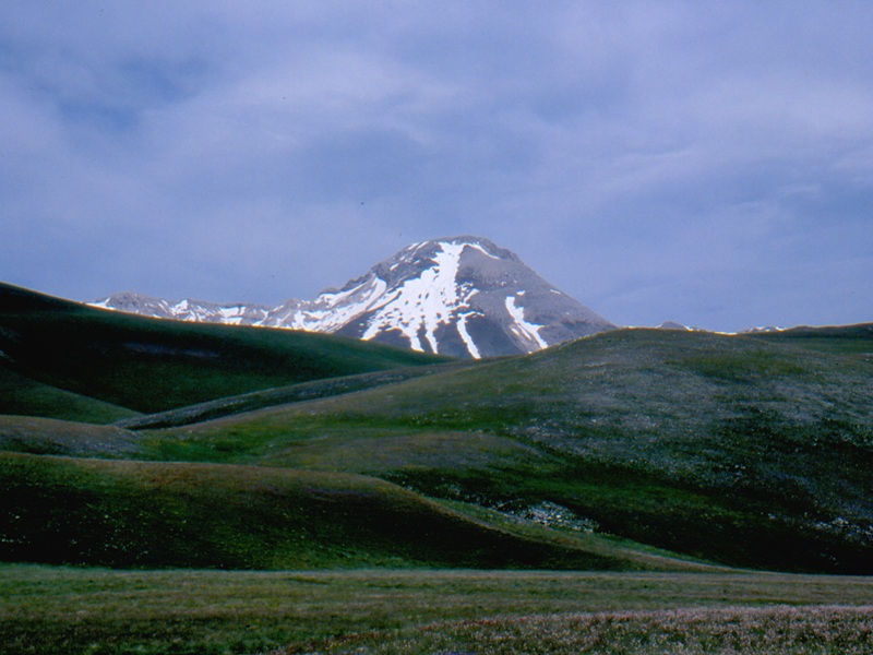 Copia di scansione0002.jpg
