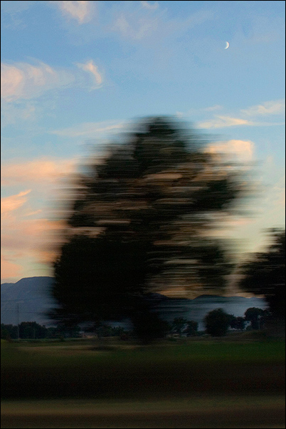 copy 3.jpg