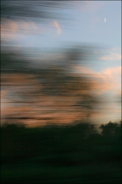 copy 5.jpg