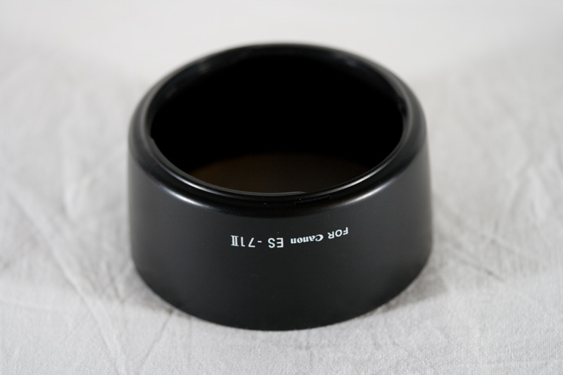 Copy of _MG_0011.jpg