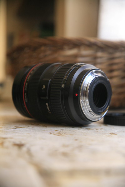 Copy of _MG_9979.JPG