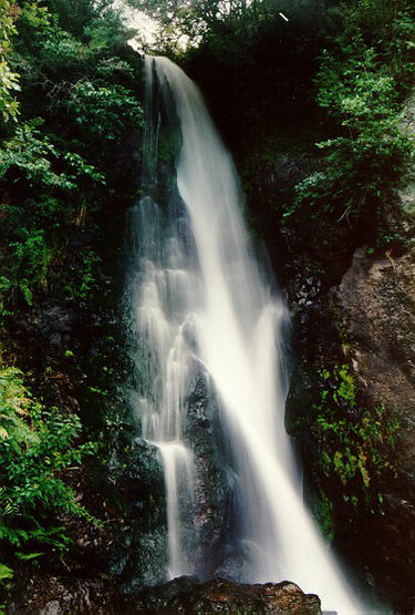 Copy of Nz4.jpg