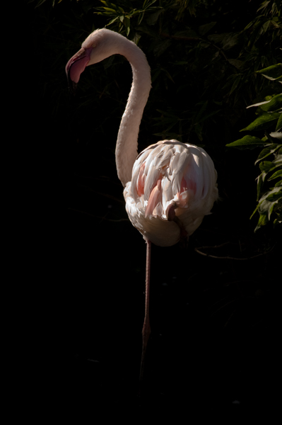 CornelleOttobre2008-0038.jpg