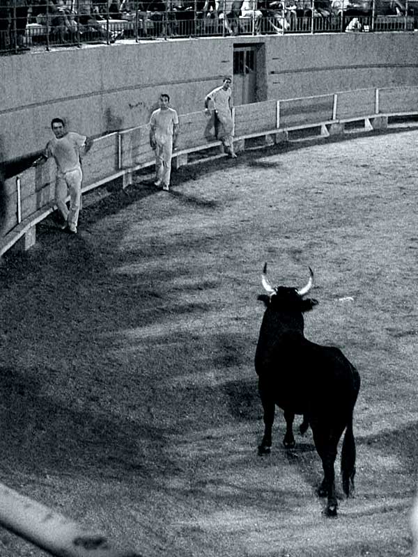 corrida2.jpg