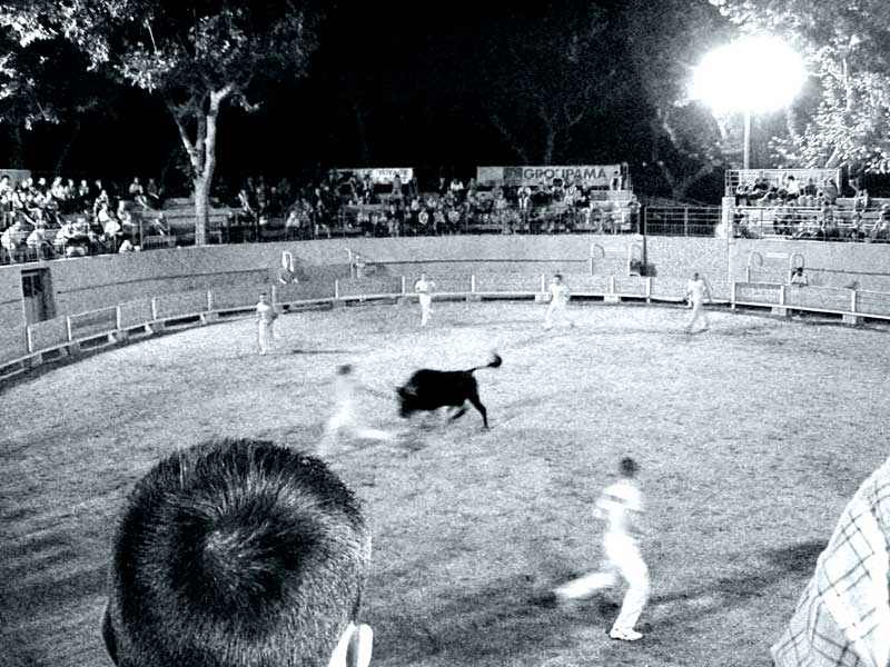 corrida3.jpg