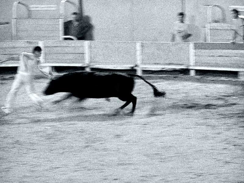 corrida4.jpg