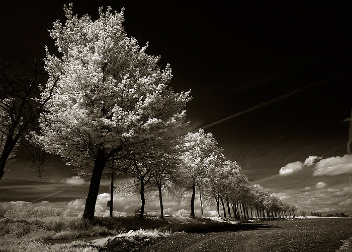 country_1-invio_2.jpg