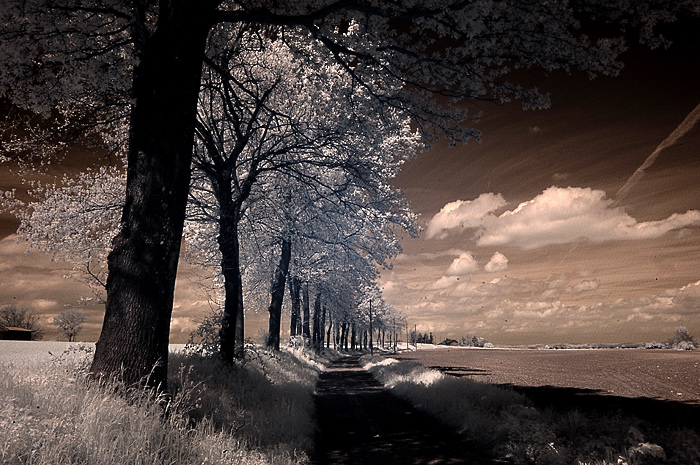 country_2-invio.jpg