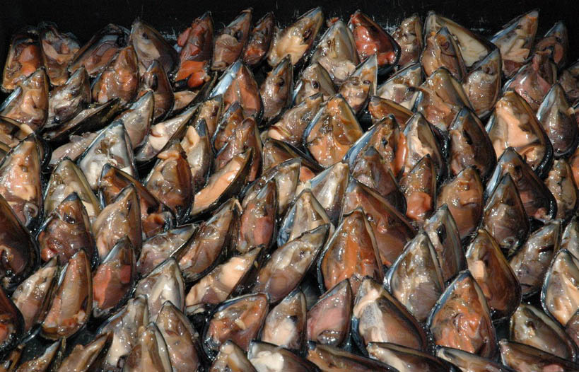 cozze2.jpg