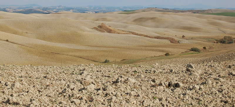 crete_taglio1.jpg