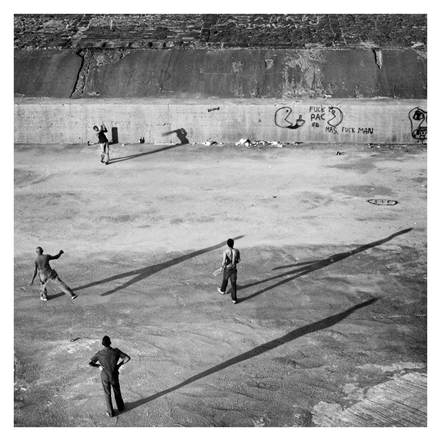 cricket2.jpg