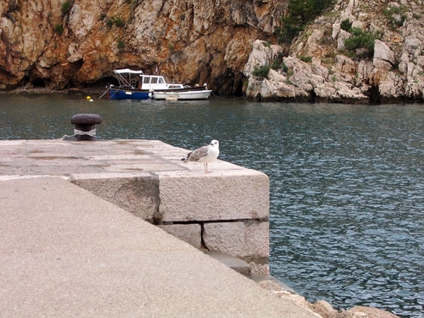 Croazia-2005--ferie--124.jpg