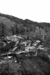 Croc_BN_2007-04-070001_1.JPG