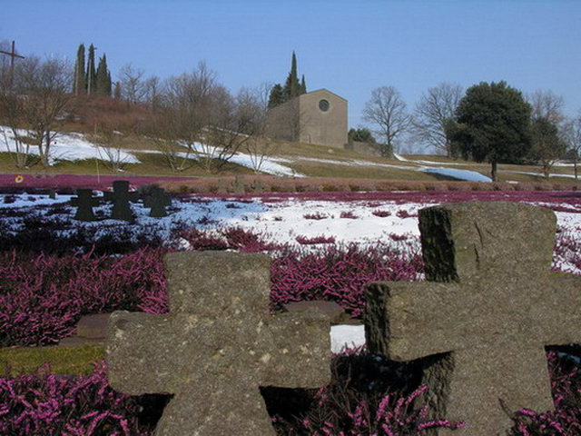 croci 2.jpg