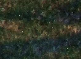 crop-1.JPG