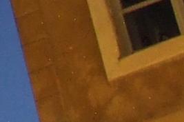 crop-2.JPG