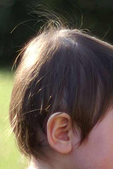 crop-50-TA.jpg