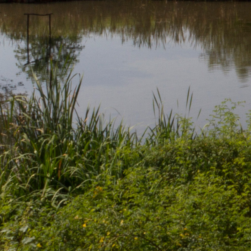 crop-lago.jpg