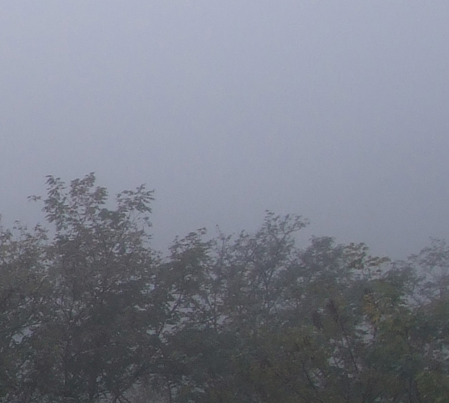 crop-nebbia.jpg