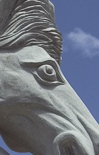 crop.jpg