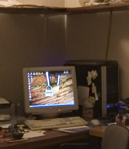 crop100a800.jpg
