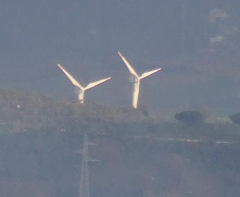 crop100x100fuji.jpg