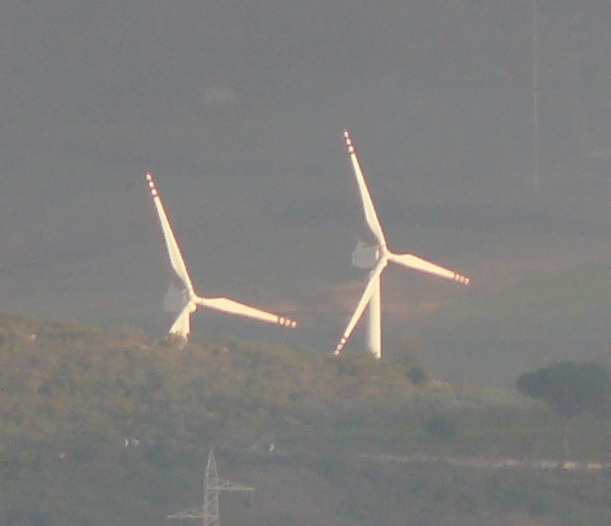 crop100x100Pana.jpg