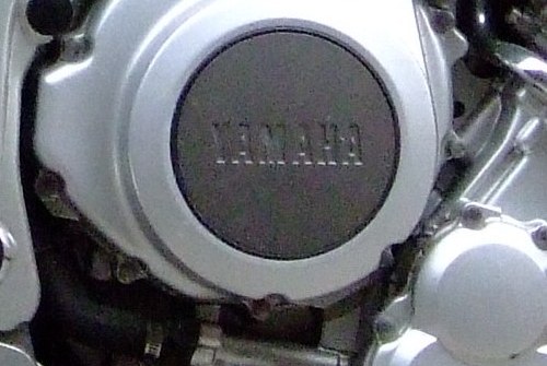 crop12mpx.JPG