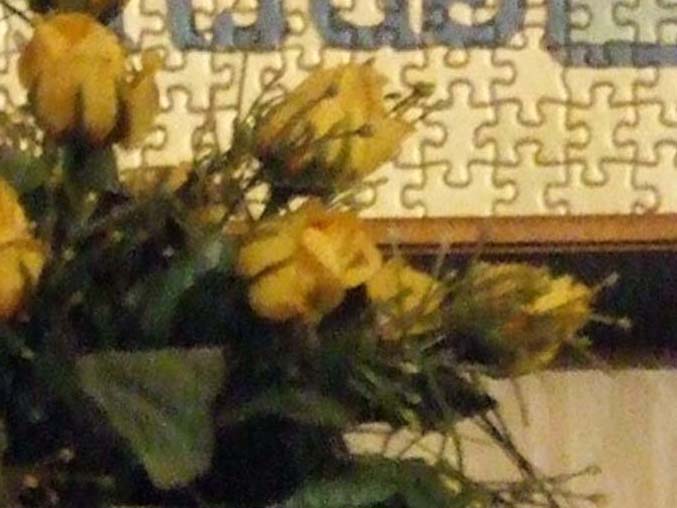 crop1600.jpg