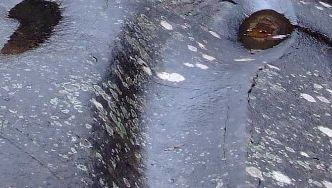 crop19.jpg