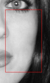 crop1.jpg