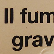 crop1.jpg