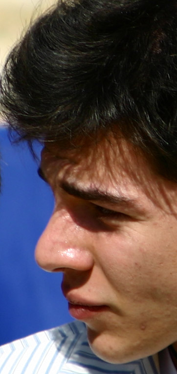 crop1.jpg