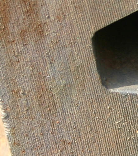crop1.jpg