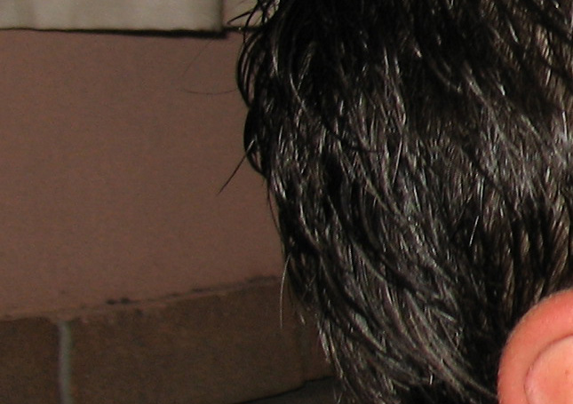 Crop1.jpg