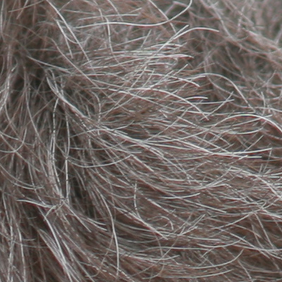 crop1.jpg