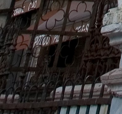 Crop1.jpg