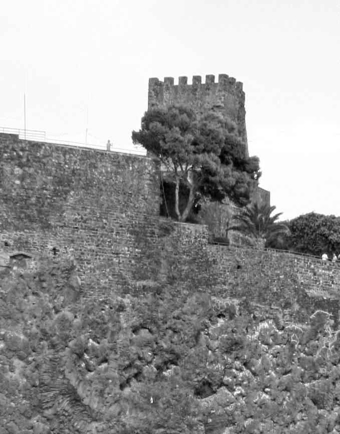 crop2-20d.jpg