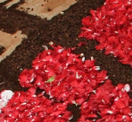crop200%24mmcentro.jpg