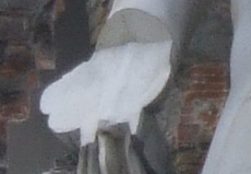 crop2.jpg