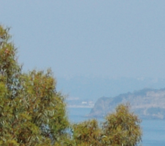 Crop2.jpg