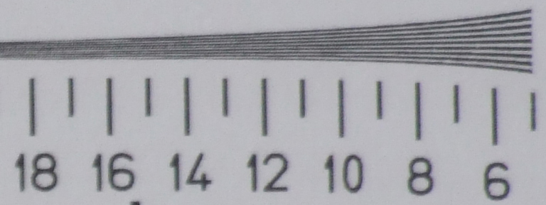 crop2.jpg